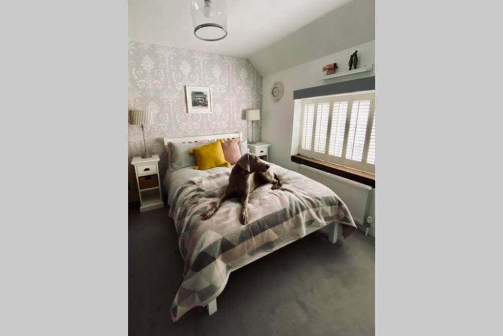 Angel Cottage, Boxgrove, Chichester - Relax And Unwind ภายนอก รูปภาพ